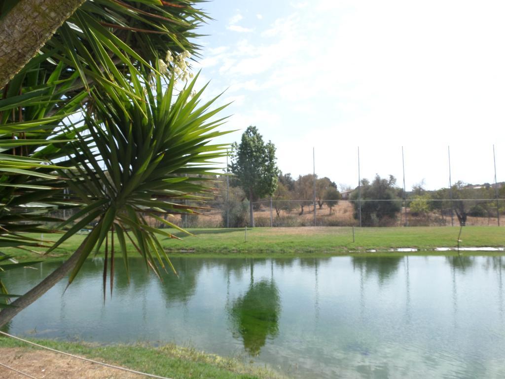 Yellow Alvor Garden Экстерьер фото