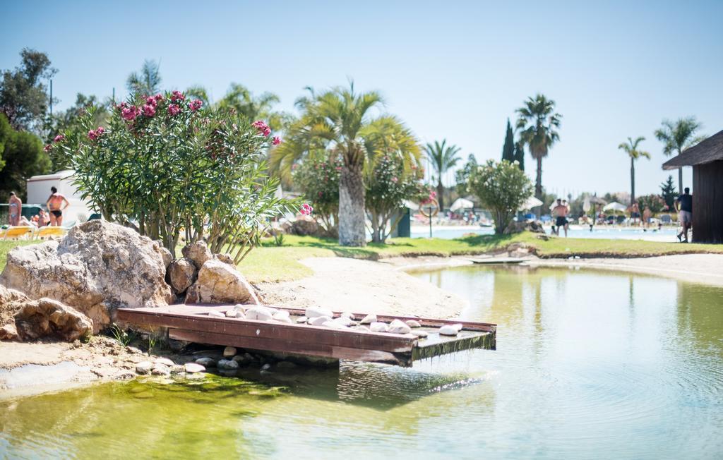 Yellow Alvor Garden Экстерьер фото